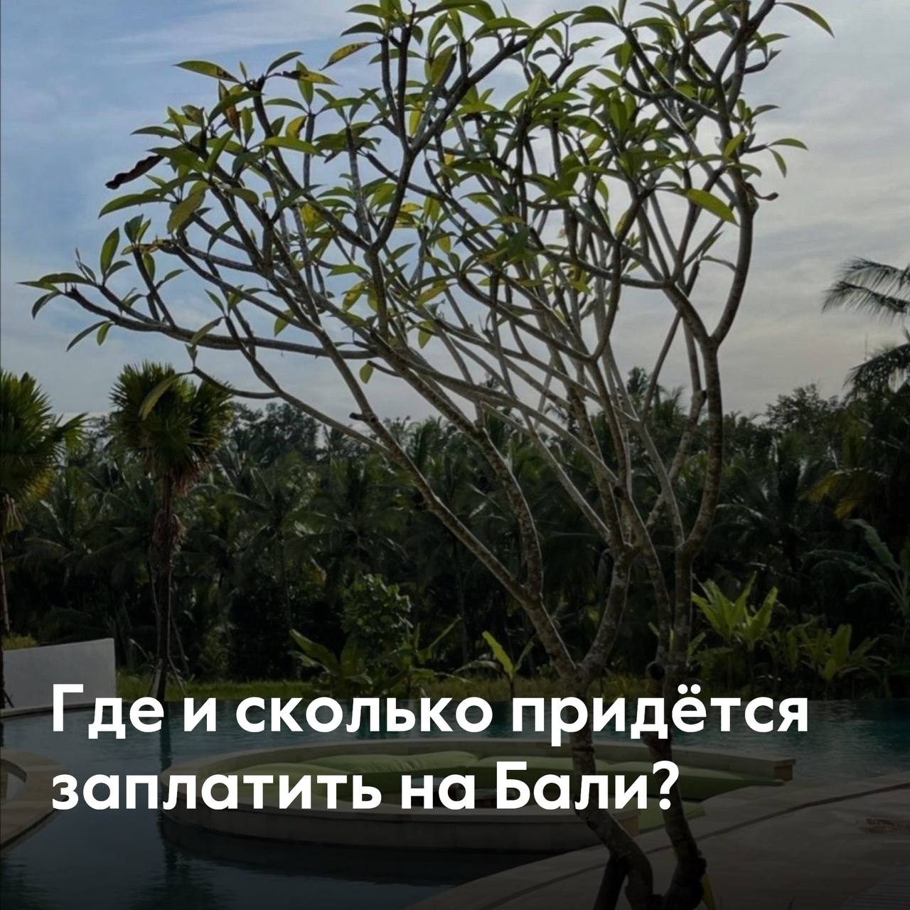 🇮🇩Где и сколько придётся заплатить на Бали?